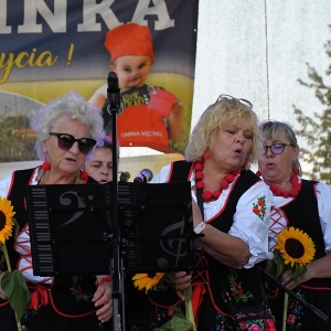 dozynki-mecinka-fot-ewajak211.jpg