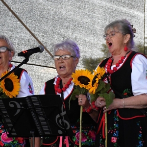 dozynki-mecinka-fot-ewajak218.jpg