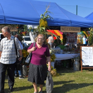 dozynki-mecinka-fot-ewajak226.jpg