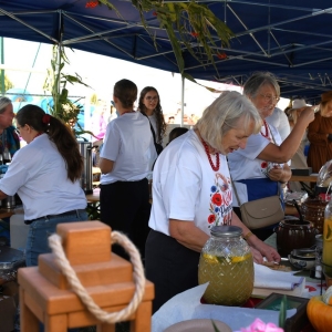 dozynki-mecinka-fot-ewajak229.jpg