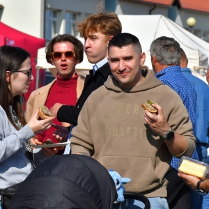 dozynki-mecinka-fot-ewajak251.jpg