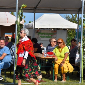 dozynki-mecinka-fot-ewajak252.jpg