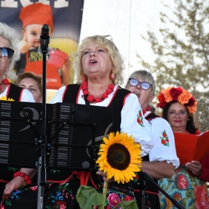 dozynki-mecinka-fot-ewajak261.jpg