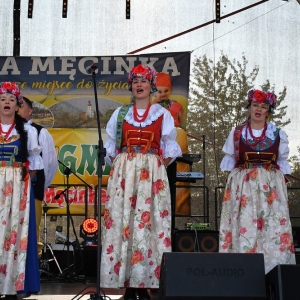 dozynki-mecinka-fot-ewajak319.jpg