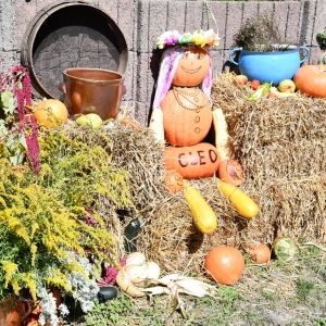 DSC_8086.JPG