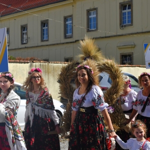 dozynki-legpol-fot-ewajak042.jpg