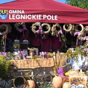 dozynki-legpol-fot-ewajak163.jpg