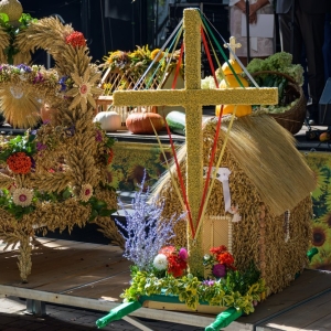 dozynki-pielgrzymka-fot-zjak082.jpg