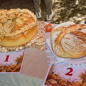 dozynki-pielgrzymka-fot-zjak095.jpg