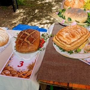 dozynki-pielgrzymka-fot-zjak096.jpg