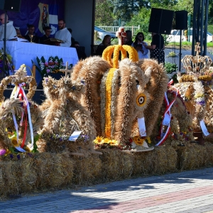 dozynki-kunice-fot-zjak035.jpg