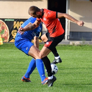 zryw-komorniki-fot-ewajak119.jpg