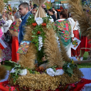 dozynki-prochowice-fot-zjak155.jpg