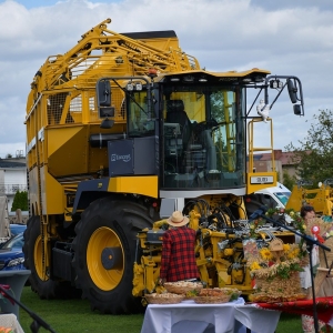 dozynki-prochowice-fot-zjak173.jpg
