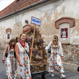 dozynki-wadroze-fot-ewajak050.jpg