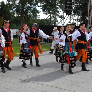 dozynki-wadroze-fot-ewajak121.jpg