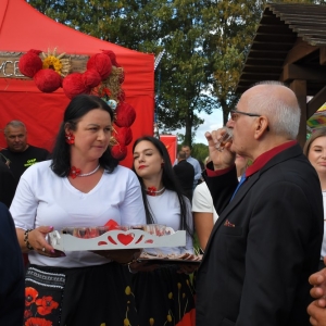 dozynki-wadroze-fot-ewajak329.jpg