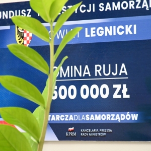 ruja-obiekty-fot-zjak17.jpg