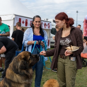 jubileusz-zaglebia-fot-ewajak151.jpg