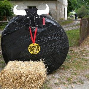 dozynki-polkowice-fot-zjak001.jpg