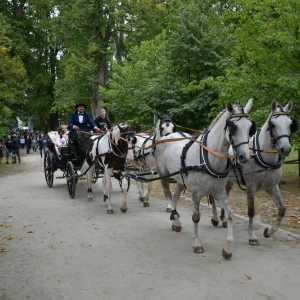 dozynki-polkowice-fot-zjak159.jpg
